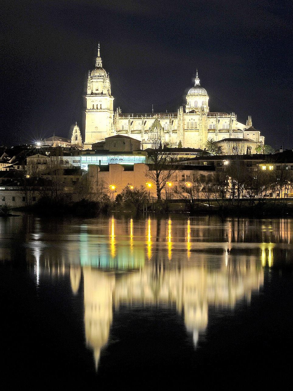 The cathedral of Salamanca reflected in the river Tormes at night
