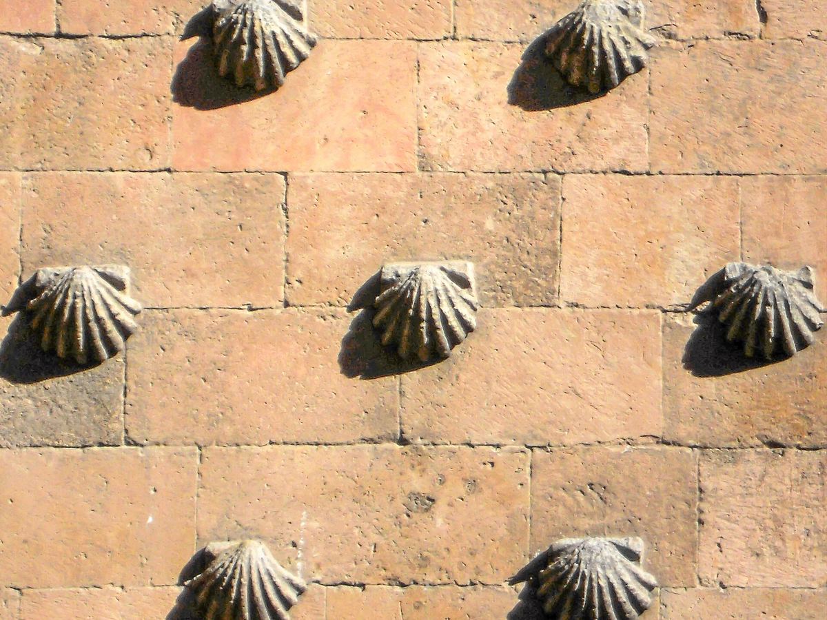 Carved scallop shells on the sandstone façade of the Casa de las Conchas