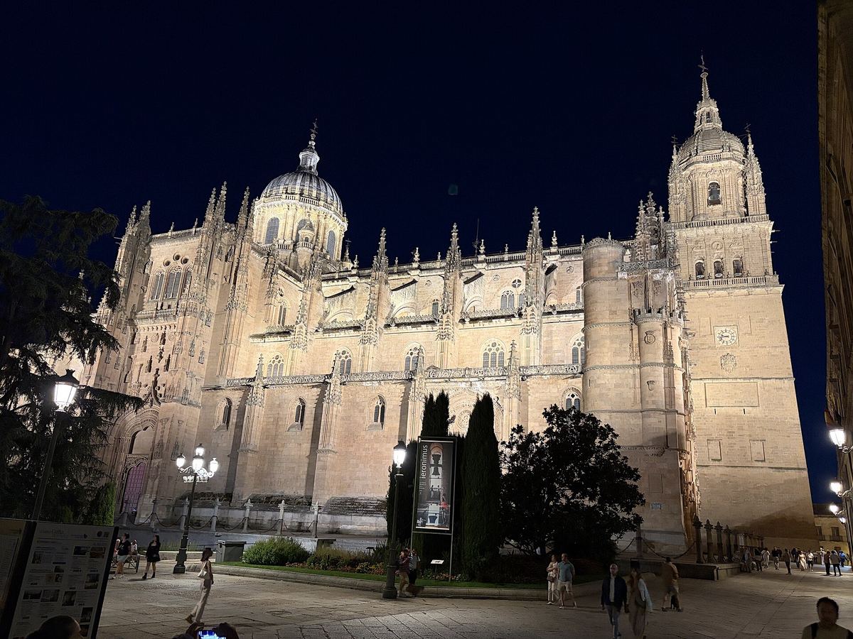 The floodlit New Cathedral of Salamanca at night